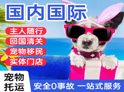 青岛空运公司国际宠物托运 【国